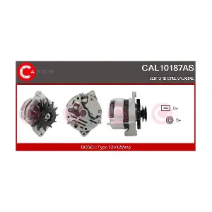 CAL10187AS CASCO