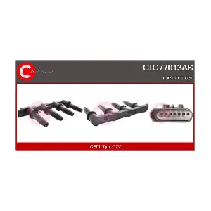 CIC77013AS CASCO