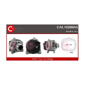 CAL10289AS CASCO