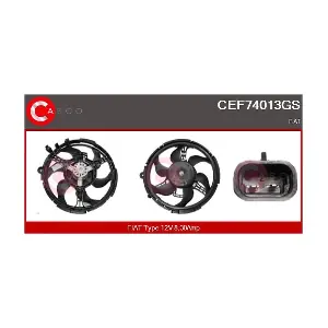 CEF74013GS CASCO