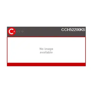 178406 CASCO