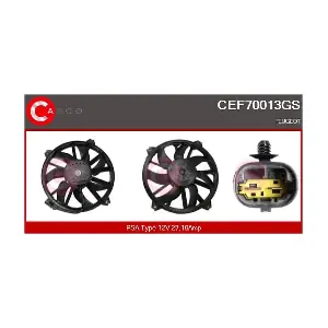 CEF70013GS CASCO