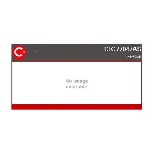 CIC77047AS CASCO