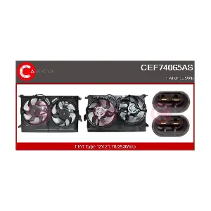 CEF74065AS CASCO