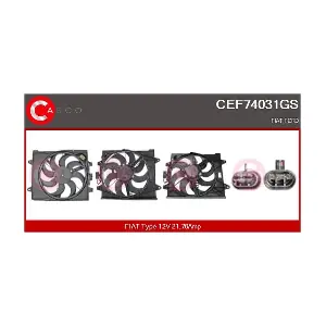 CEF74031GS CASCO