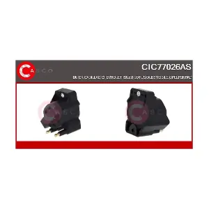 CIC77026AS CASCO