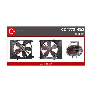 CEF77014GS CASCO
