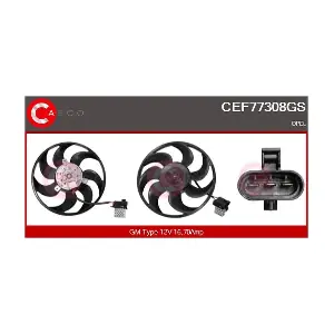 CEF77308GS CASCO