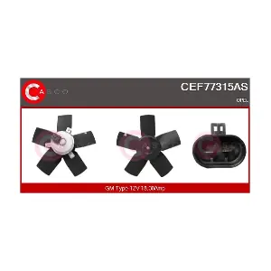 CEF77315AS CASCO