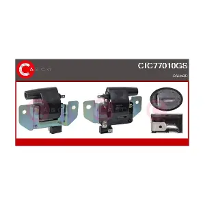 CIC77010GS CASCO