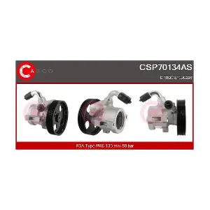 CSP70134AS CASCO