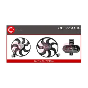 CEF77311GS CASCO