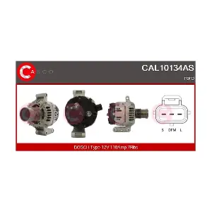 CAL10134AS CASCO
