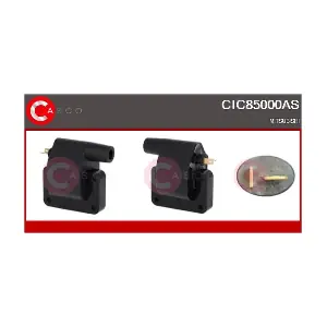 CIC85000AS CASCO