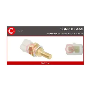 CSN73H04AS CASCO