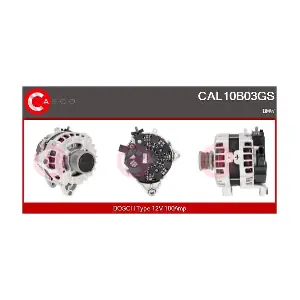CAL10B03GS CASCO