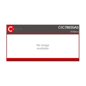 CIC78035AS CASCO