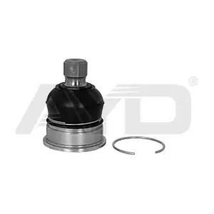 9211243 AYD