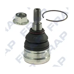 F3106 FRAP