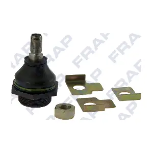 F1077 FRAP