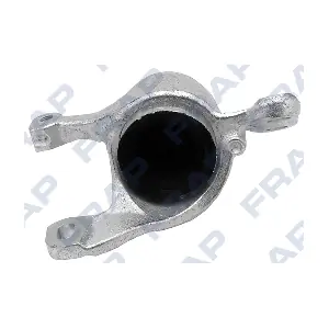 FSB25046 FRAP