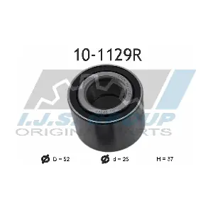 10-1129R IJS GROUP