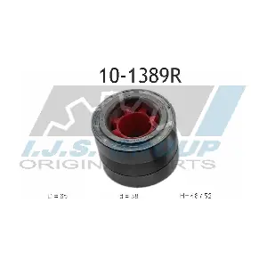 10-1389R IJS GROUP