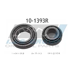 10-1393R IJS GROUP