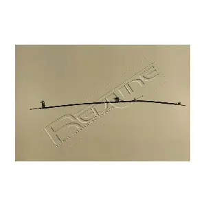 49NI059 RED-LINE