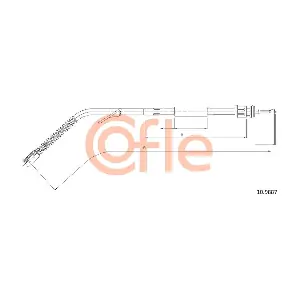 10.9887 COFLE