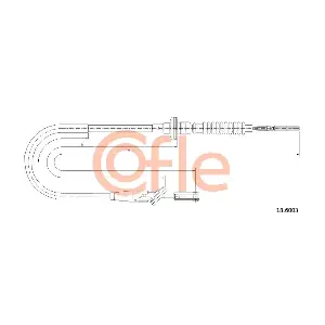 18.6003 COFLE