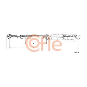 1251.5 COFLE