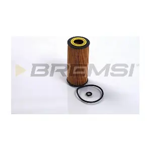 FL0249 BREMSI