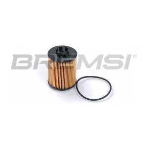 FL0011 BREMSI