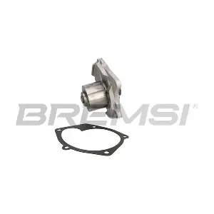 WP0163 BREMSI