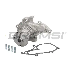 WP0019 BREMSI