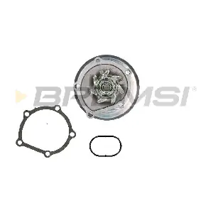 WP0544 BREMSI