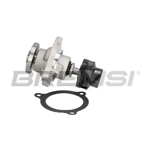 WP0189 BREMSI