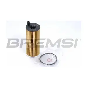 FL0019 BREMSI