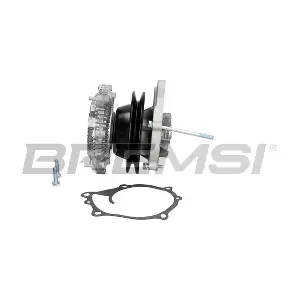 WP0317 BREMSI