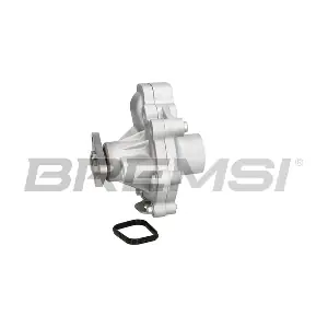 WP0456 BREMSI
