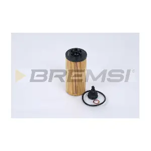 FL0293 BREMSI