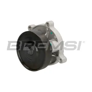 WP0397 BREMSI