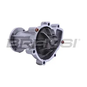 WP0622 BREMSI