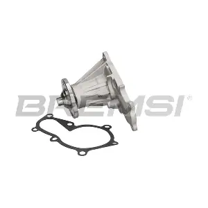 WP0417 BREMSI