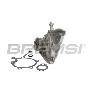 WP0313 BREMSI