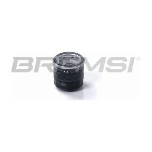 FL0292 BREMSI