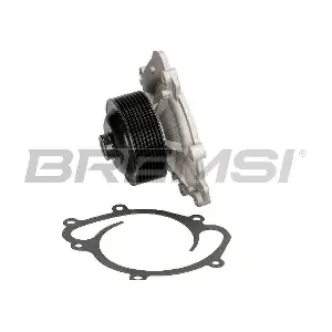 WP0221 BREMSI