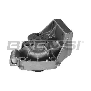 WP0003 BREMSI