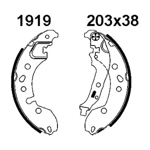 01919 BSF